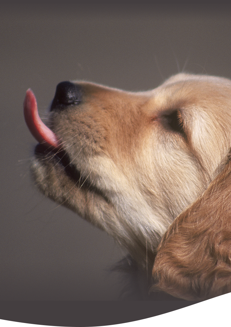 湘南台セントラル動物病院